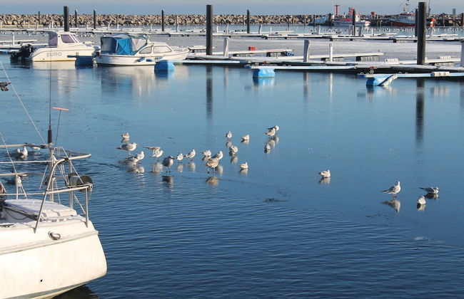 Coastal Stay, Kuhlungsborn - Foto 16