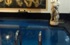 SPA Versalles - Foto 1