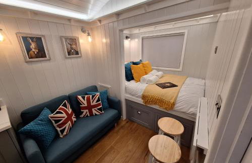 Whiskers and Woods Shepherd Hut - Foto 7