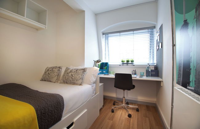 Student Only OLIB - Foto 5