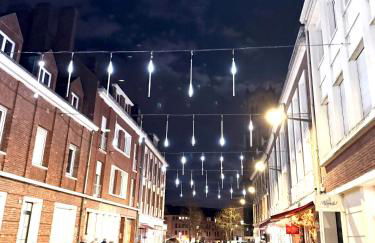 Appartement calme et raffiné en hypercentre dans une résidence historique parking - Foto 62