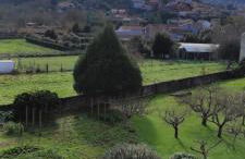 Alojamientos Rías Baixas - Foto 12