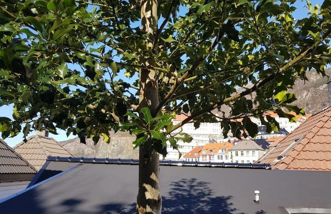 Skuteviken Apartments - Foto 46