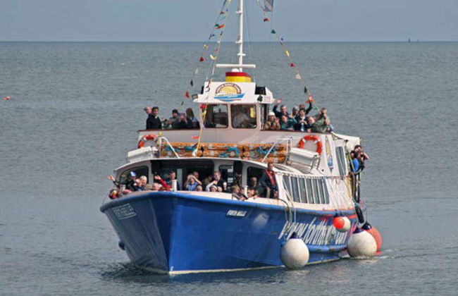 Forth Boat Tour - Photo 1