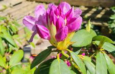 Mutti 's Landhaus - Photo 26