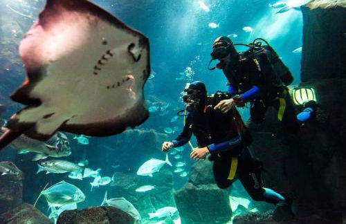 Studios by Aqua Natura Hotels - Foto 39