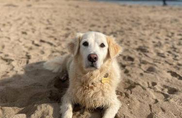 Bumble Bee Cottage - Photo 37