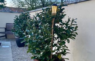 Fresno Vista - Photo 15