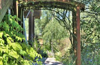 Norwegisches Blockhaus mit Gartensauna - Foto 28