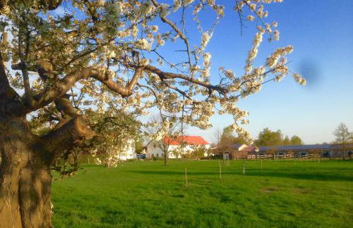 Ferienwohnung Zweinig 01 - Foto 21