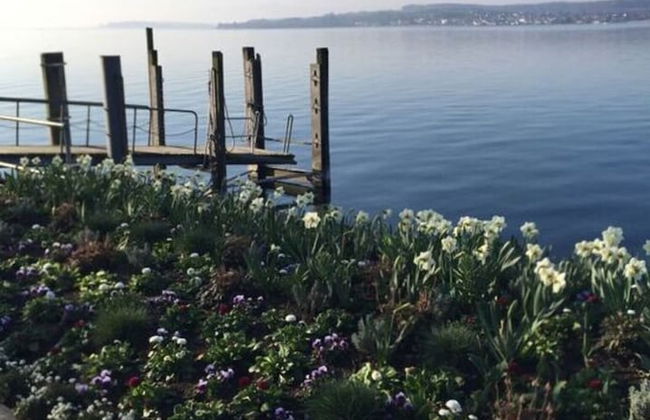 Holiday Apartment Hammerle-seiler - Foto 23