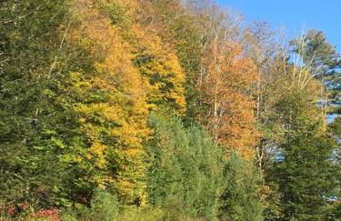 Catskill Cabin, Cool Apartment, 2nd Floor - Photo 8