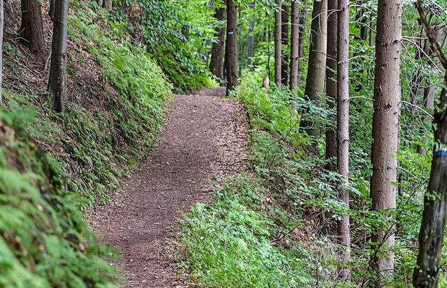 6 Person Holiday Home in Osthammar - Foto 22