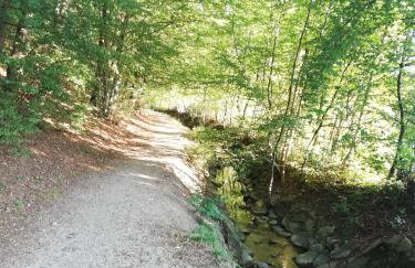 Wohnung Elli - Foto 18