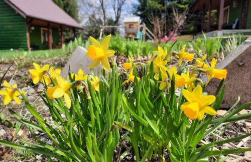 Domki i Apartamenty Rogate Anioły - Photo 11