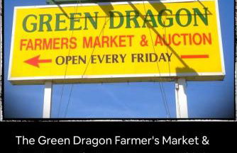 The Highland Oasis - Foto 36