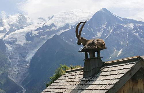 MGM Charles Delys - 3 Rooms - Les Houches - Foto 11