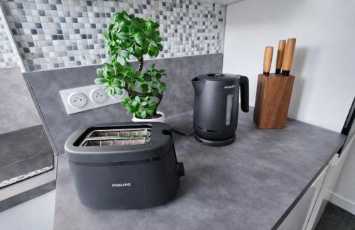 Emeraude du centre Elbeuf Confort et Elegance - Foto 38