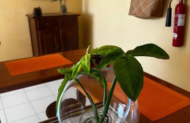 CHL Mayoysa La Palma, vista mar en Breña Baja - Foto 16