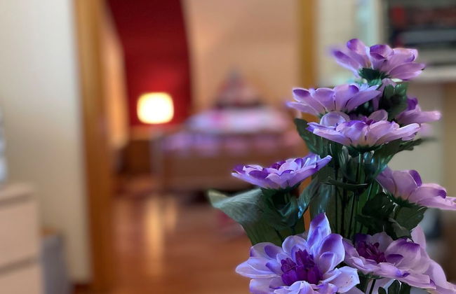 Kleeblatt - Photo 12