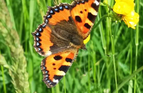 Ferienwohnung Ilona, Armin & Simon Funke - Photo 6