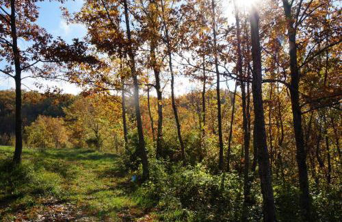 Frigino Agriturismo - Foto 50