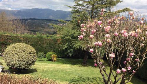 Casa Artistico - Foto 5