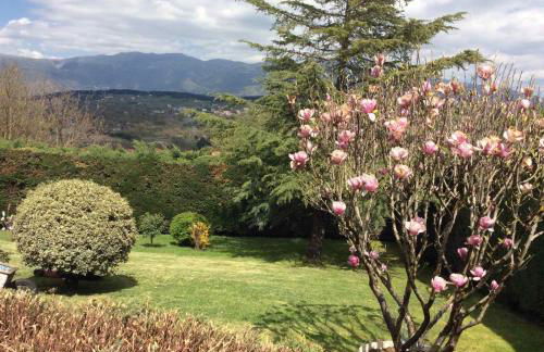 Casa Artistico - Foto 5