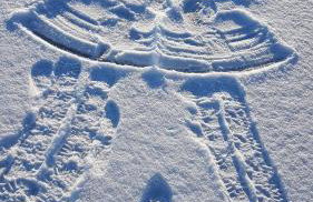 Ferienwohnungen am Malchiner See - Foto 20