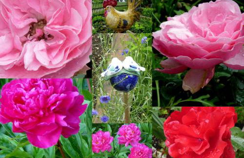 Schwabenbauernhof-Tradition und Moderne erleben - Foto 23