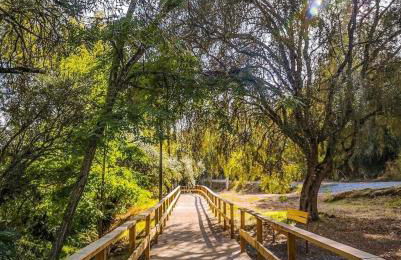 CASAS NAS TERMAS - Foto 31