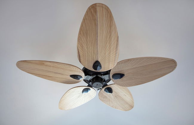 Ada Dreams City - Foto 21