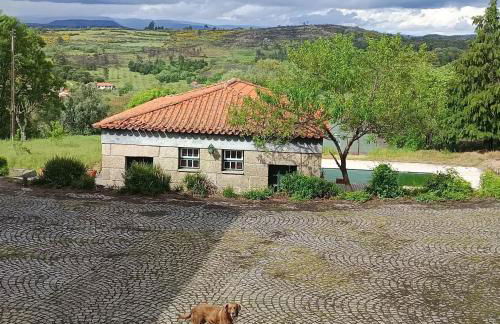 19th Centry Farmhouse Getaway - Sleep 12-14 W/pool - Foto 69