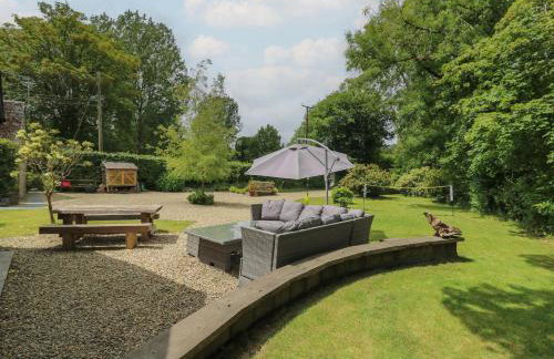 Glas y Dorlan - Foto 38