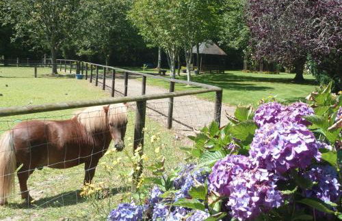 Kergarec gite H - Foto 9