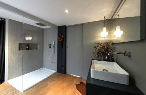 LE LOFT ETHNIC - avec jolie vue sur la Saône - Foto 5
