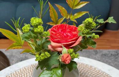 Barbaras Felsenlodge - Foto 6