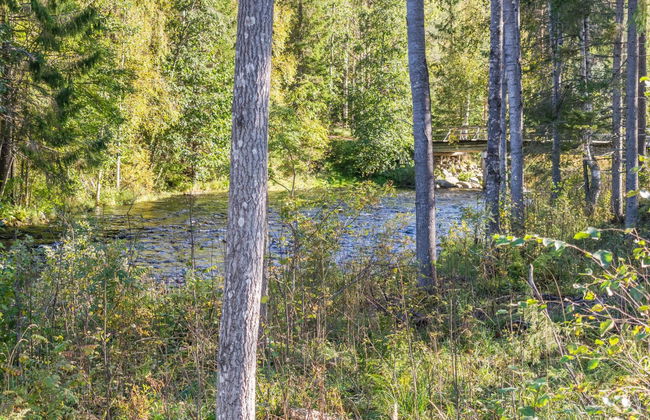 Koskisaari, vaikon loma 2 - Foto 16