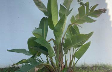 Calonge Villa Acacia - Foto 21