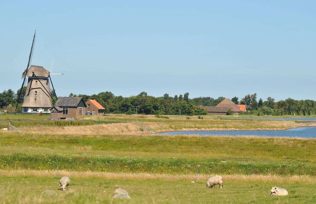 Lovely Holiday Home in Texel Near Sea - Foto 65