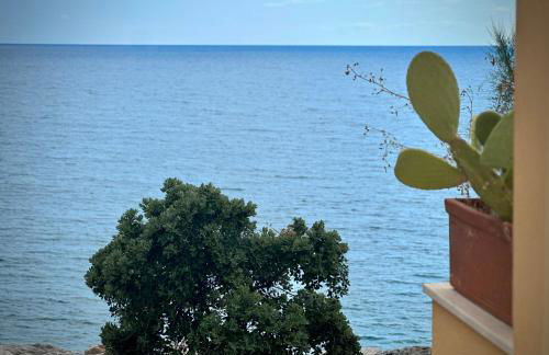 Seaside Villa with private garden - Foto 11