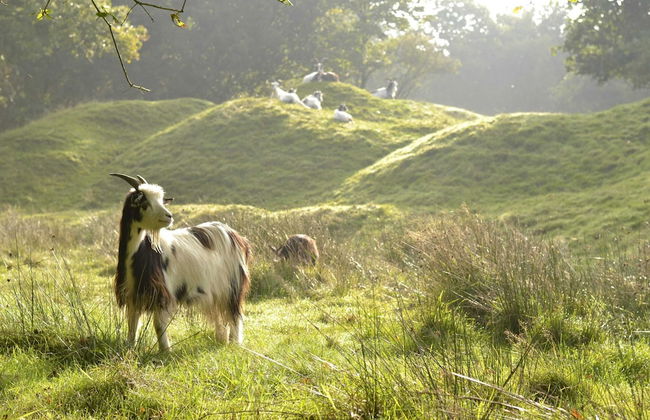 Holiday Home in Warns With Private Jetty - Photo 31