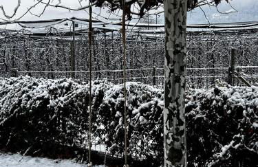 Haus Wiesenstein - Foto 6