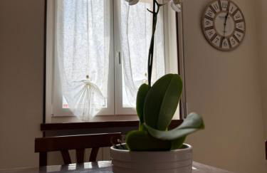 Alfredo's House Verona - Foto 14