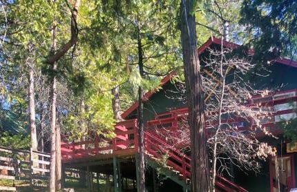 Read Haven 3 Bedroom, 1.5 Bath - Photo 4