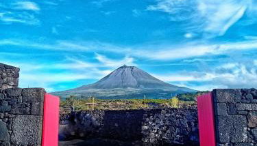 Welcome Pico - Photo 3