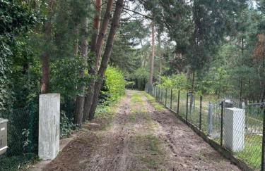 Haus Waldidyll am Briesensee - Foto 10