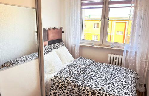 Wałcz Homely Apartment by BookingHost - Foto 4