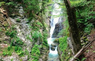 LACHAT appartement en chalet typique - Photo 23