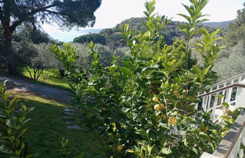 Villa Helga by the Sea - Photo 53